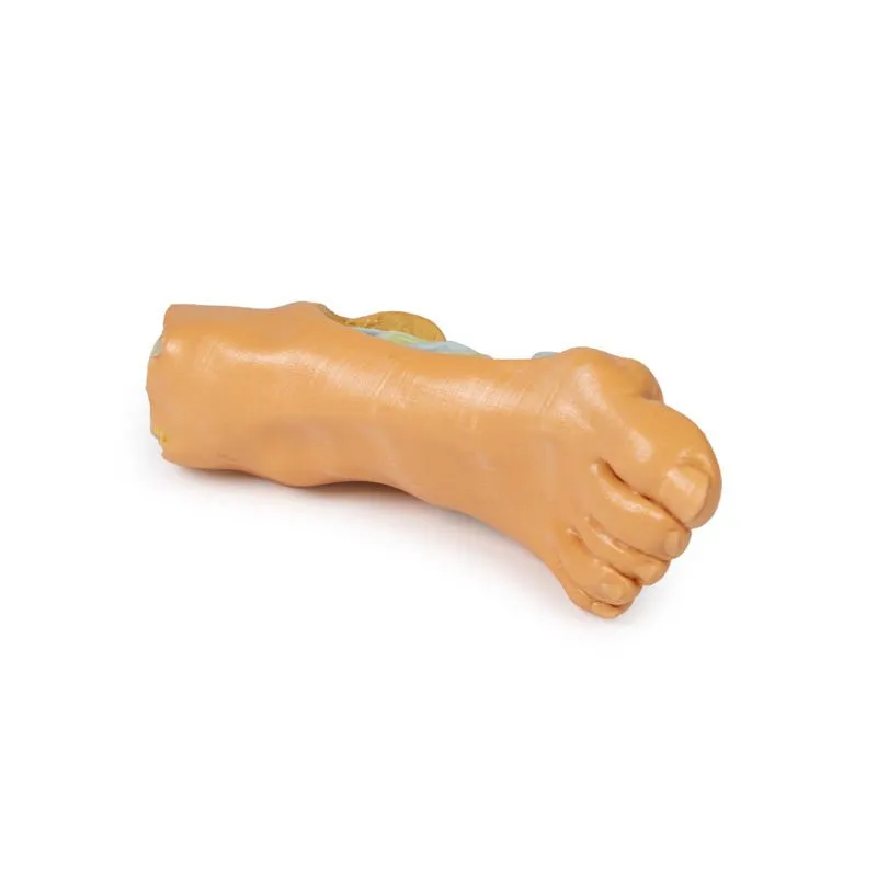 3D Printed Foot - Deep plantar structures