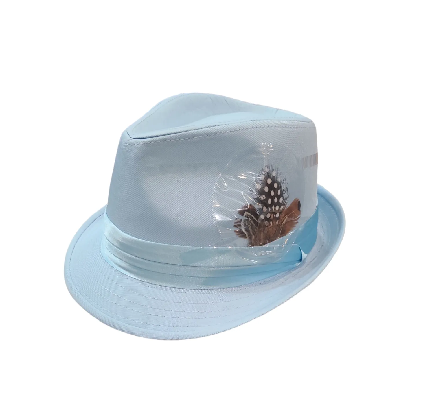 Bruno Capelo Fedora Hat