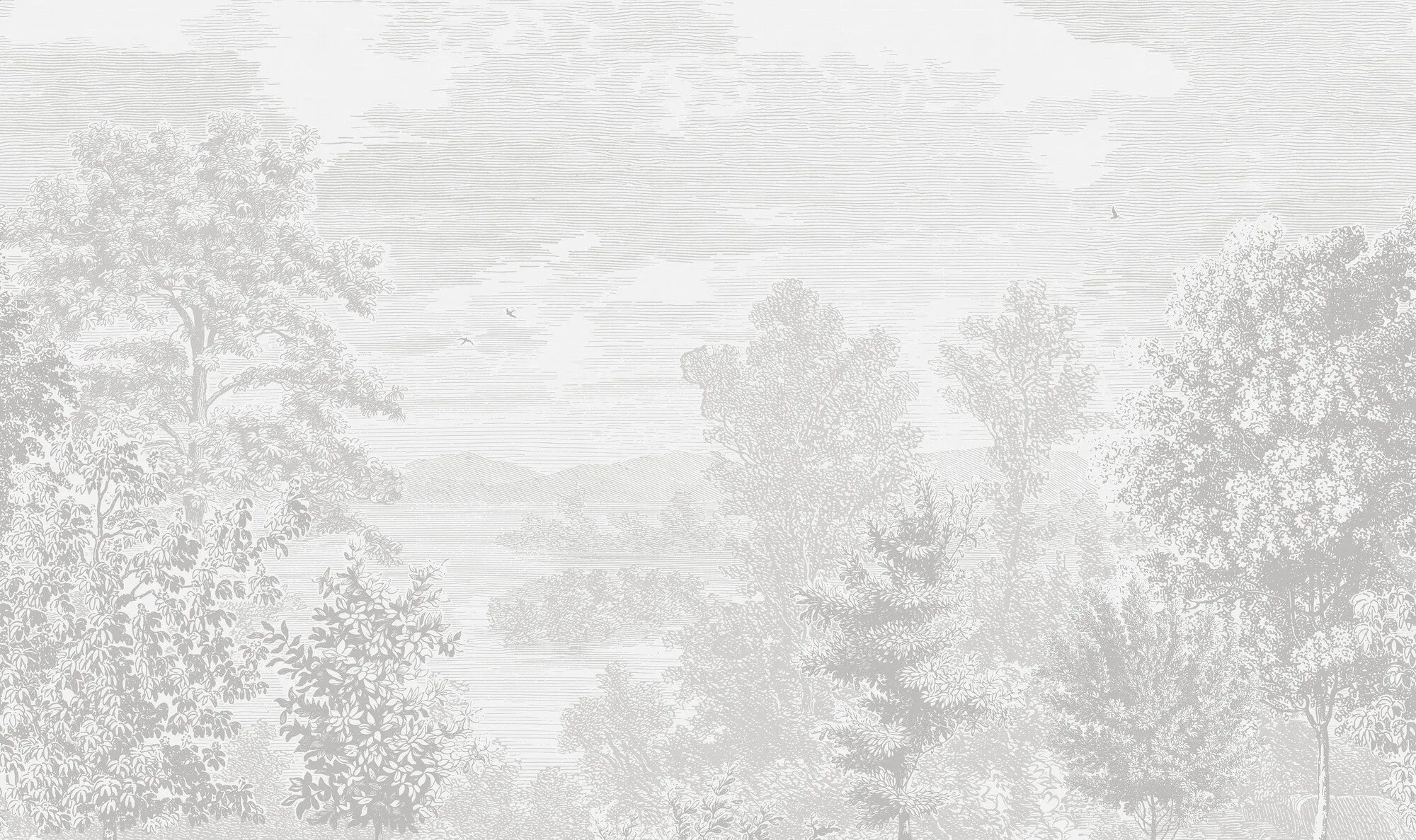 Etched Landscape - 9475W Mural