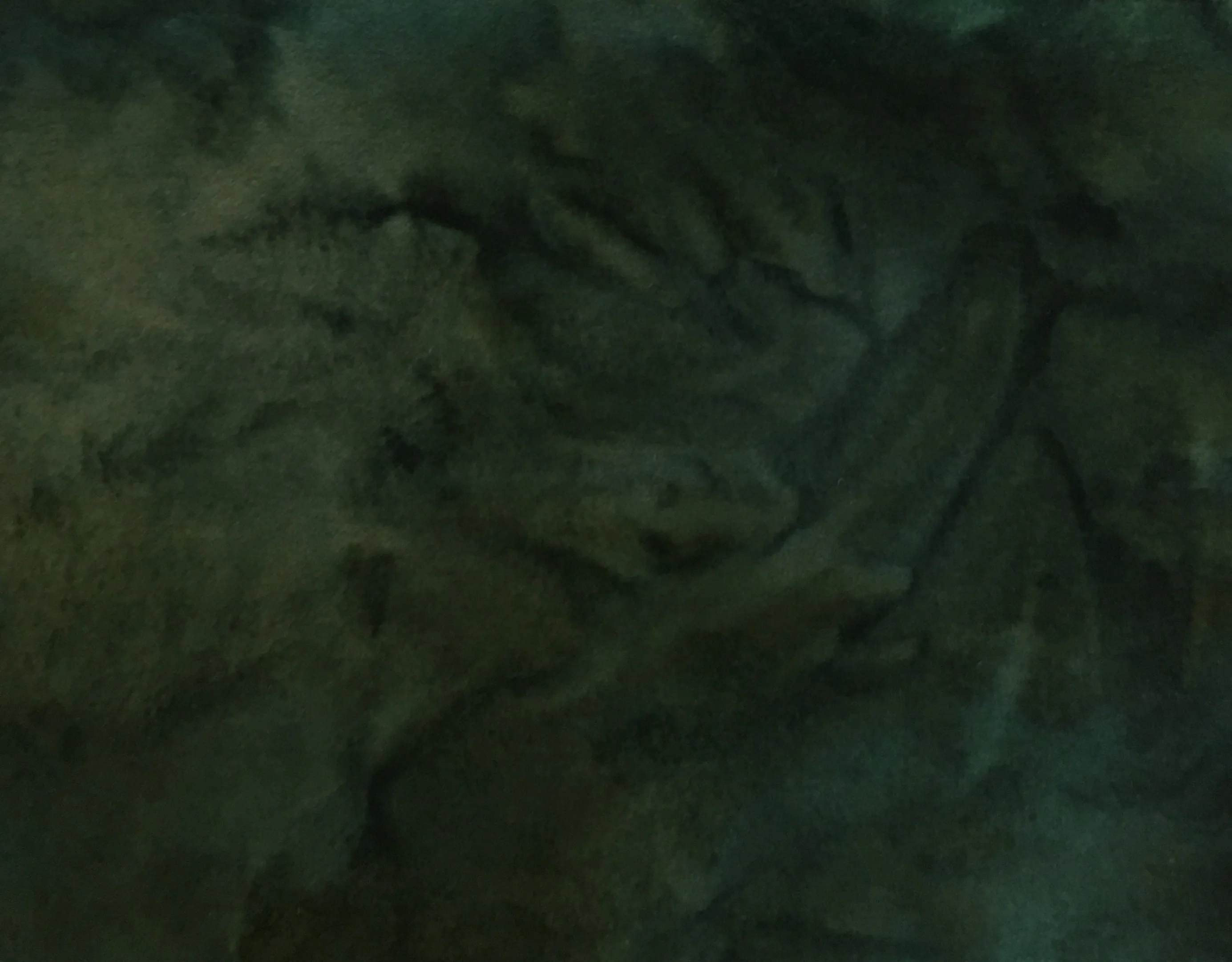 EVERGREEN Hand Dyed Fat EIGHTH Wool Fabric for Wool Applique and Rug Hooking