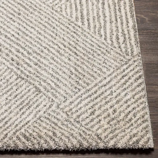 Gavic Rug | 2304
