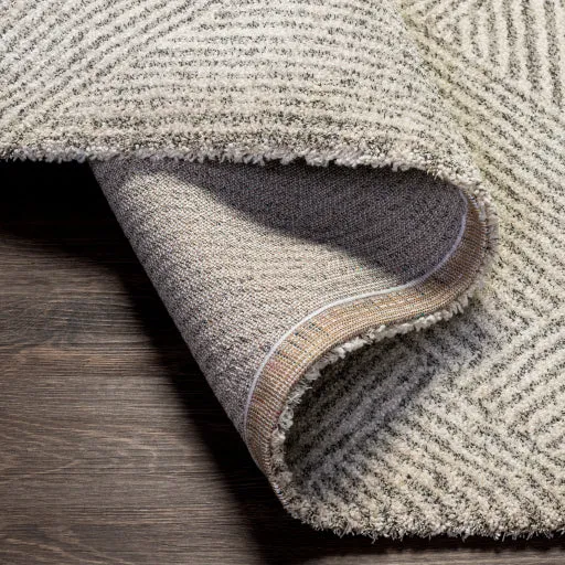 Gavic Rug | 2304