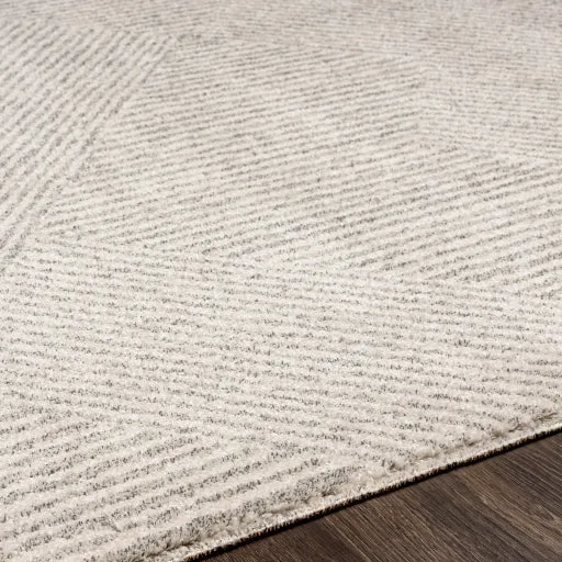 Gavic Rug | 2304