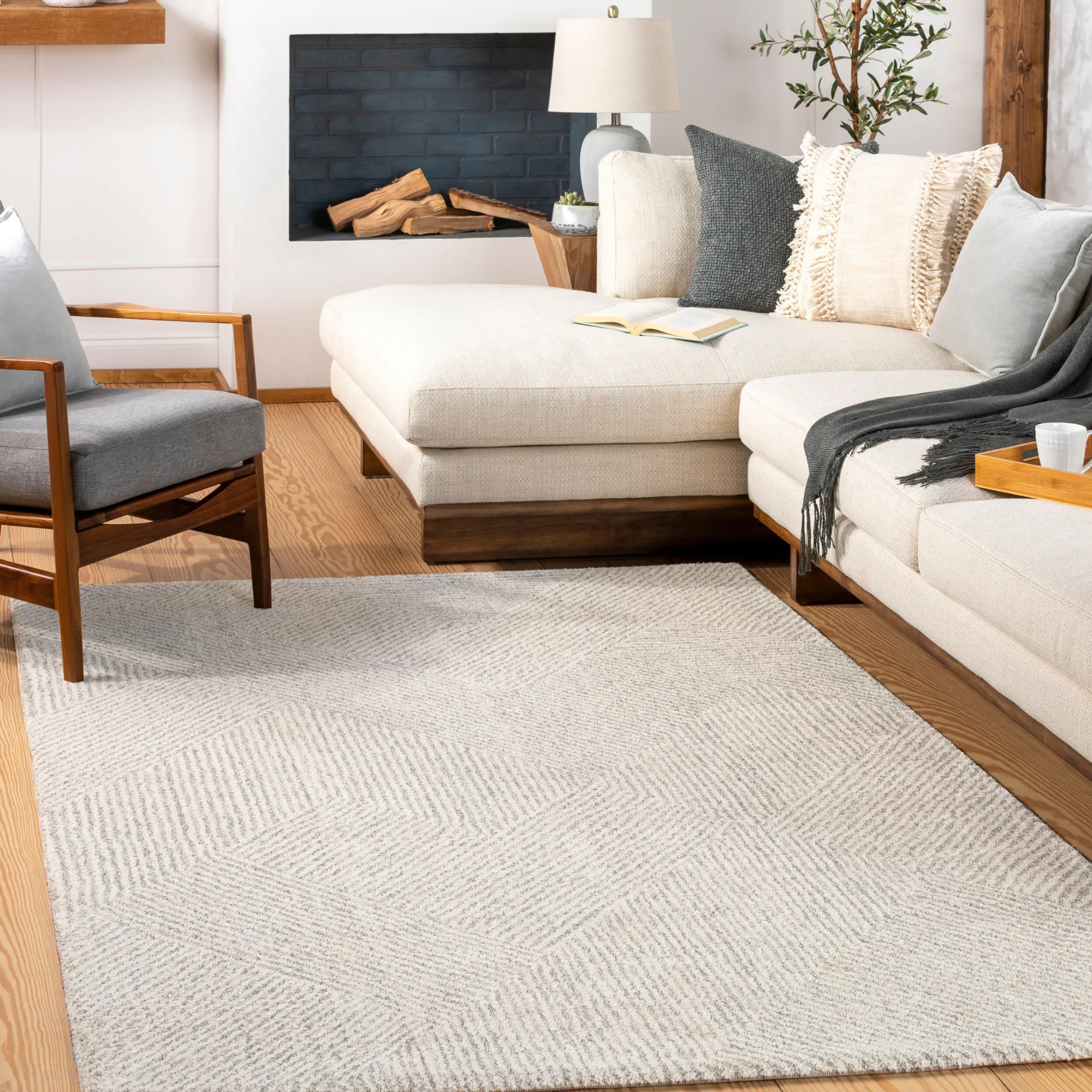Gavic Rug | 2304